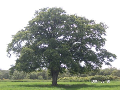 s_PICT0559.jpg